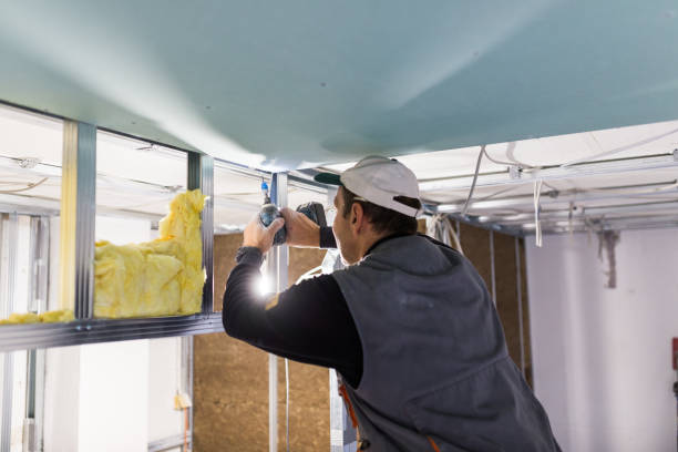 Best Batt and Roll Insulation  in Mcqueeney, TX